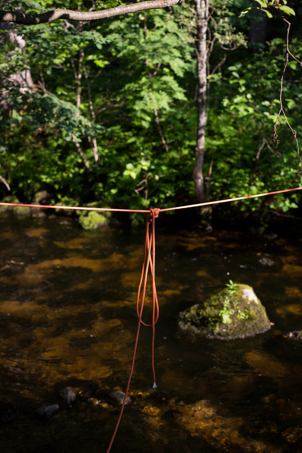 Une corde attachée relie les deux rives d'un petit ruisseau.